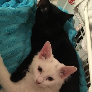 Meet your Posher, Seanna